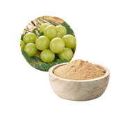 Private Label Amla Powder Manufacturers from India